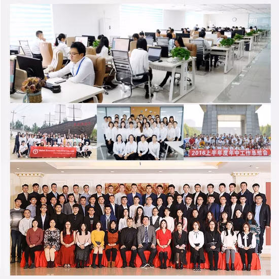 24PCS Iron Box 1/2 Inch Mechanic Tools Set Chrome Vanadium Socket Wrench Set for Fastening